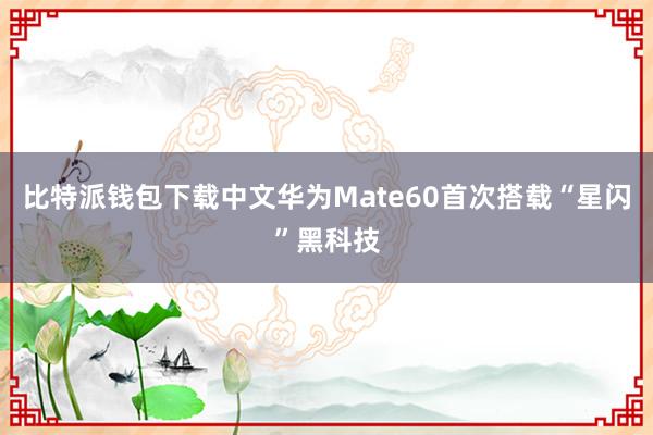 比特派钱包下载中文华为Mate60首次搭载“星闪”黑科技
