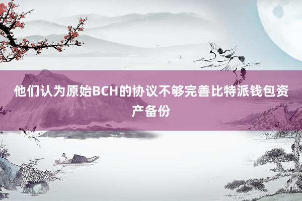 他们认为原始BCH的协议不够完善比特派钱包资产备份