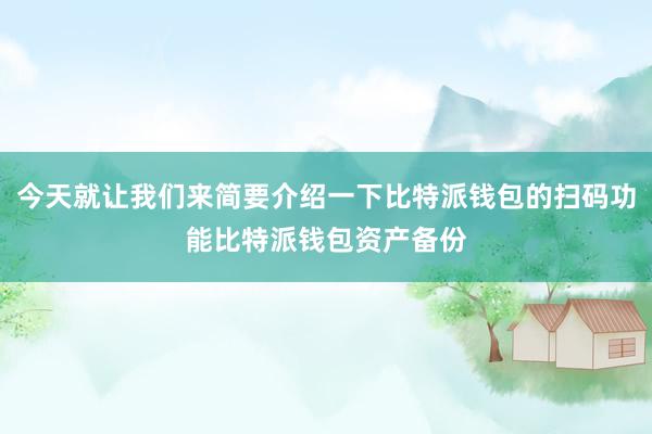 今天就让我们来简要介绍一下比特派钱包的扫码功能比特派钱包资产备份