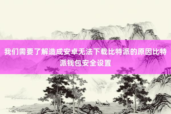 我们需要了解造成安卓无法下载比特派的原因比特派钱包安全设置