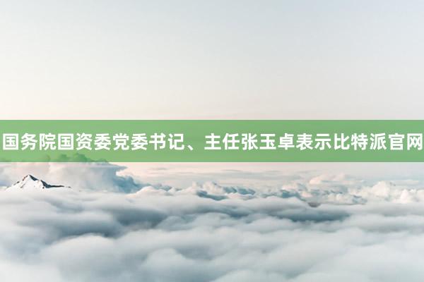 国务院国资委党委书记、主任张玉卓表示比特派官网