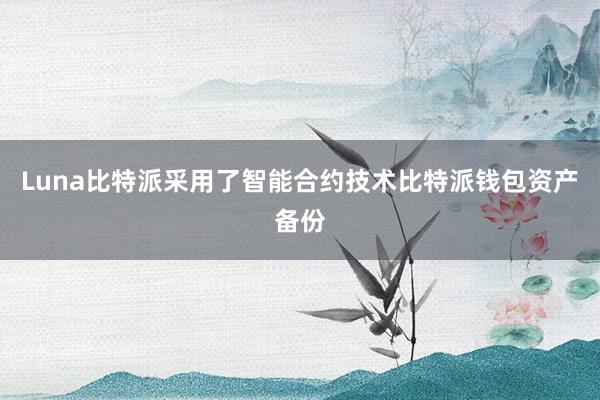 Luna比特派采用了智能合约技术比特派钱包资产备份