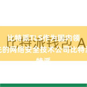 比特派TLS作为国内领先的网络安全技术公司比特派